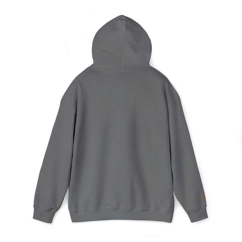 God's  Armor Hoodie - "Wear God as your Armor"