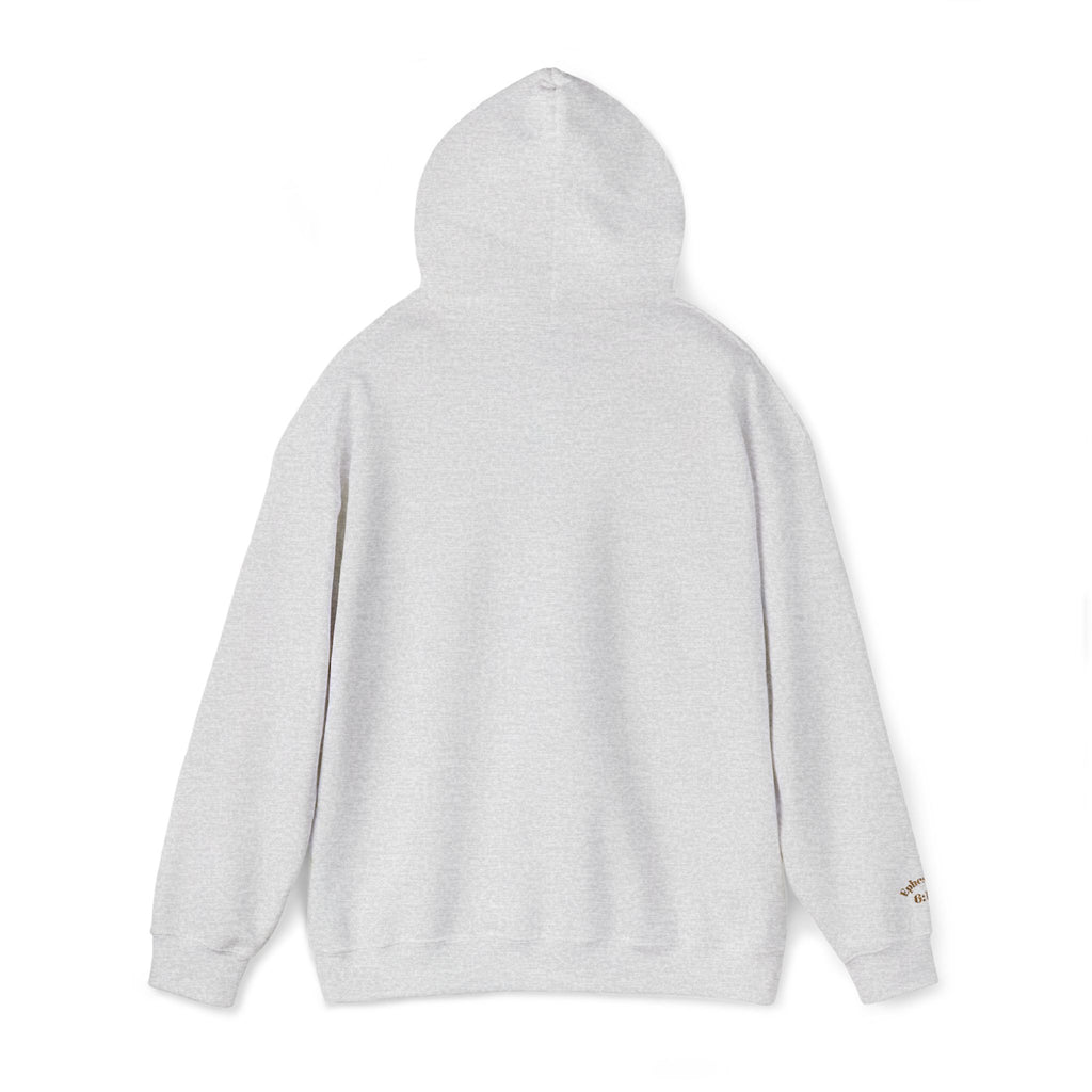 God's  Armor Hoodie - "Wear God as your Armor"