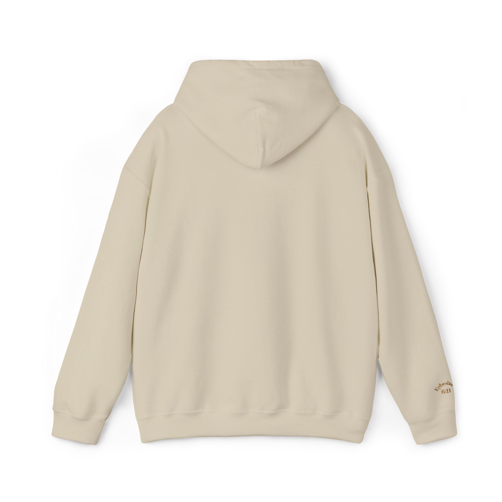 God's  Armor Hoodie - "Wear God as your Armor"