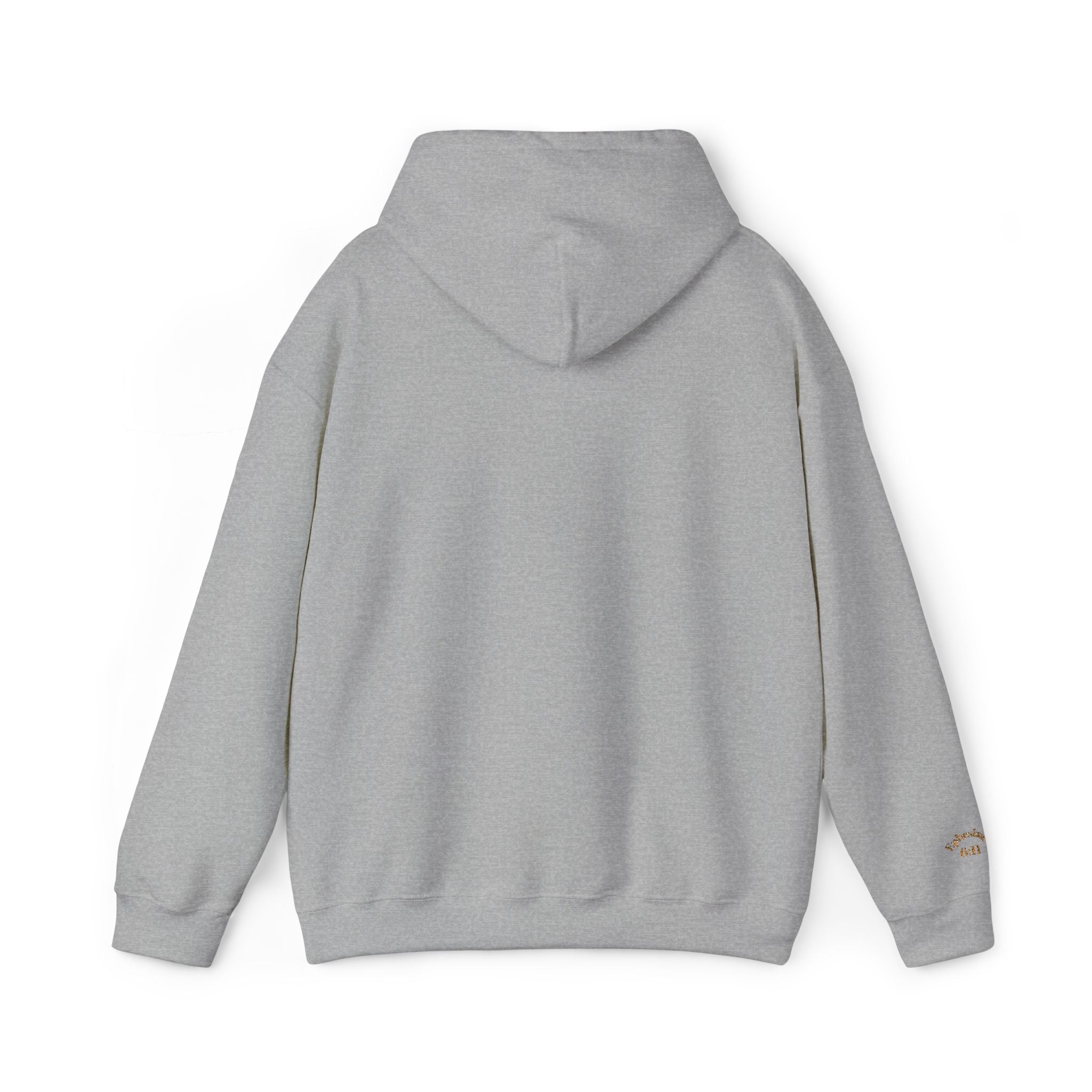 God's  Armor Hoodie - "Wear God as your Armor"