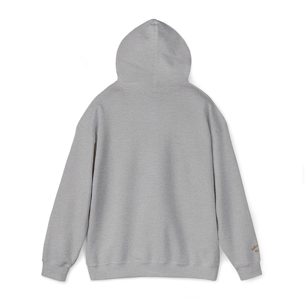 God's  Armor Hoodie - "Wear God as your Armor"