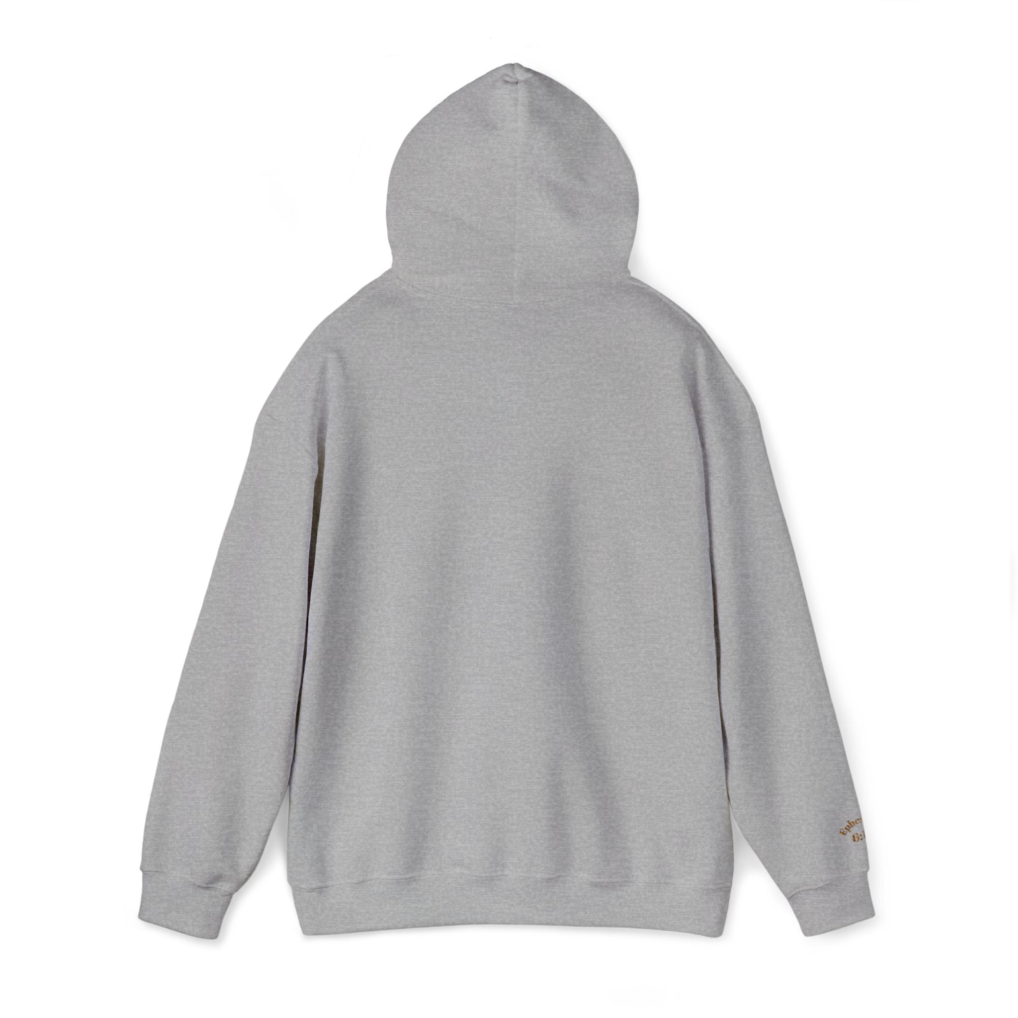 God's  Armor Hoodie - "Wear God as your Armor"