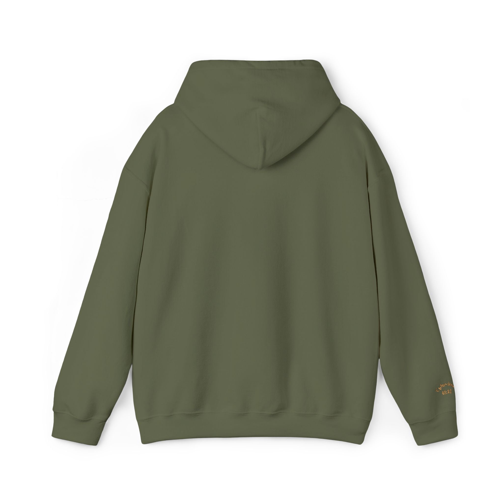 God's  Armor Hoodie - "Wear God as your Armor"