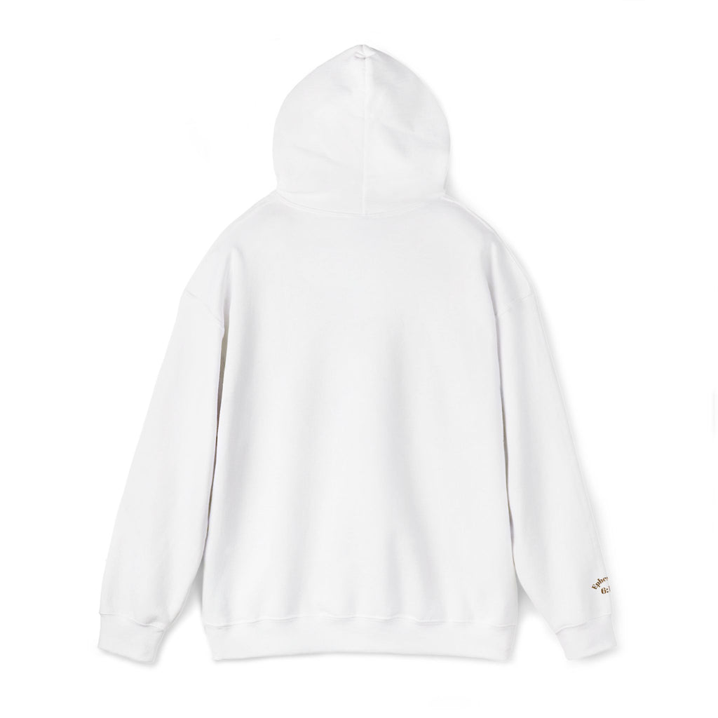 God's  Armor Hoodie - "Wear God as your Armor"