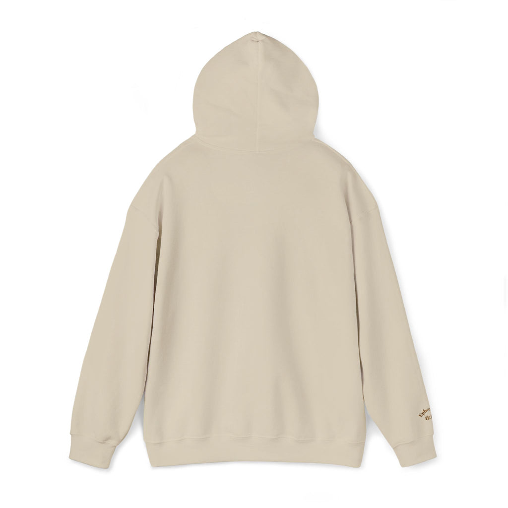 God's  Armor Hoodie - "Wear God as your Armor"