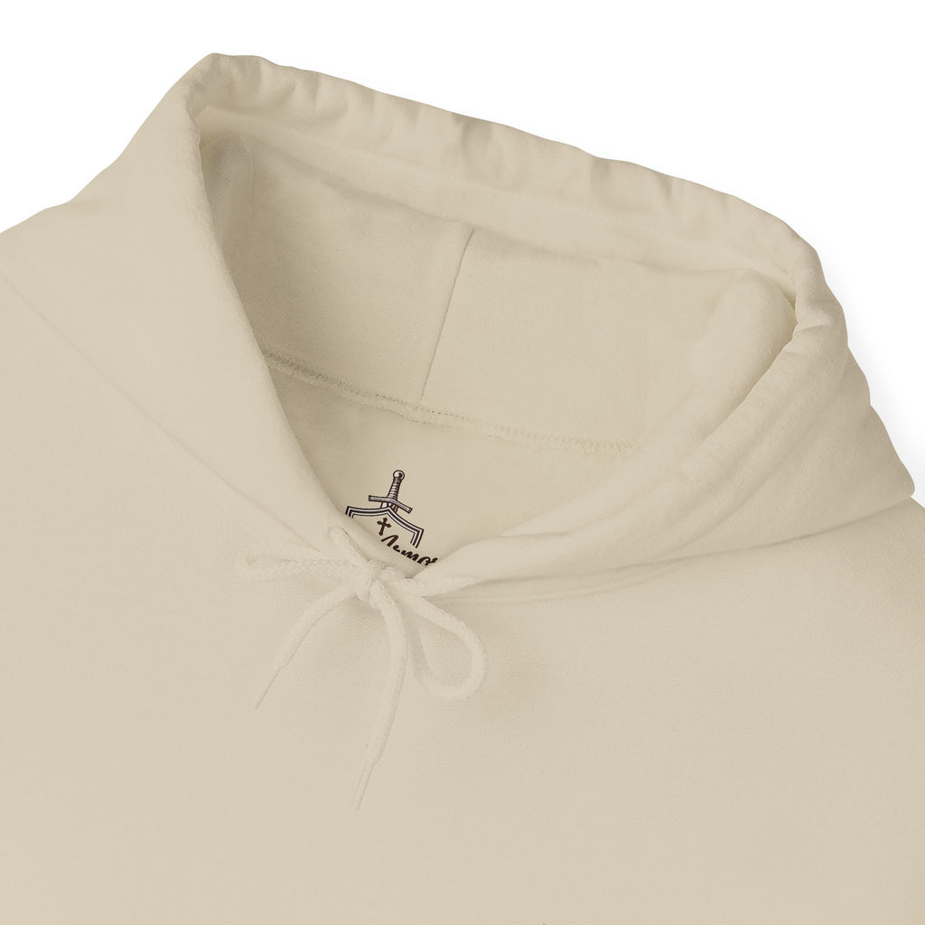 God's  Armor Hoodie - "Wear God as your Armor"