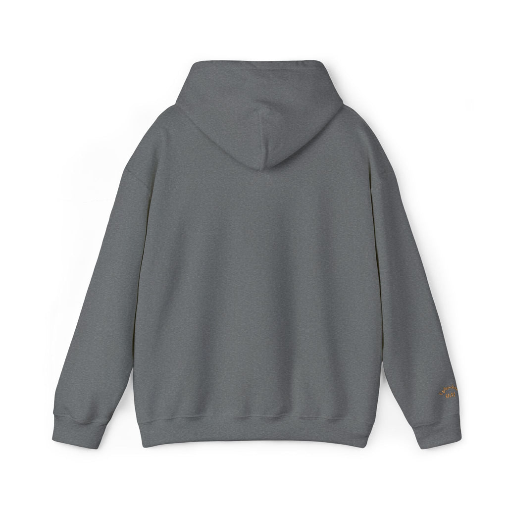 God's  Armor Hoodie - "Wear God as your Armor"