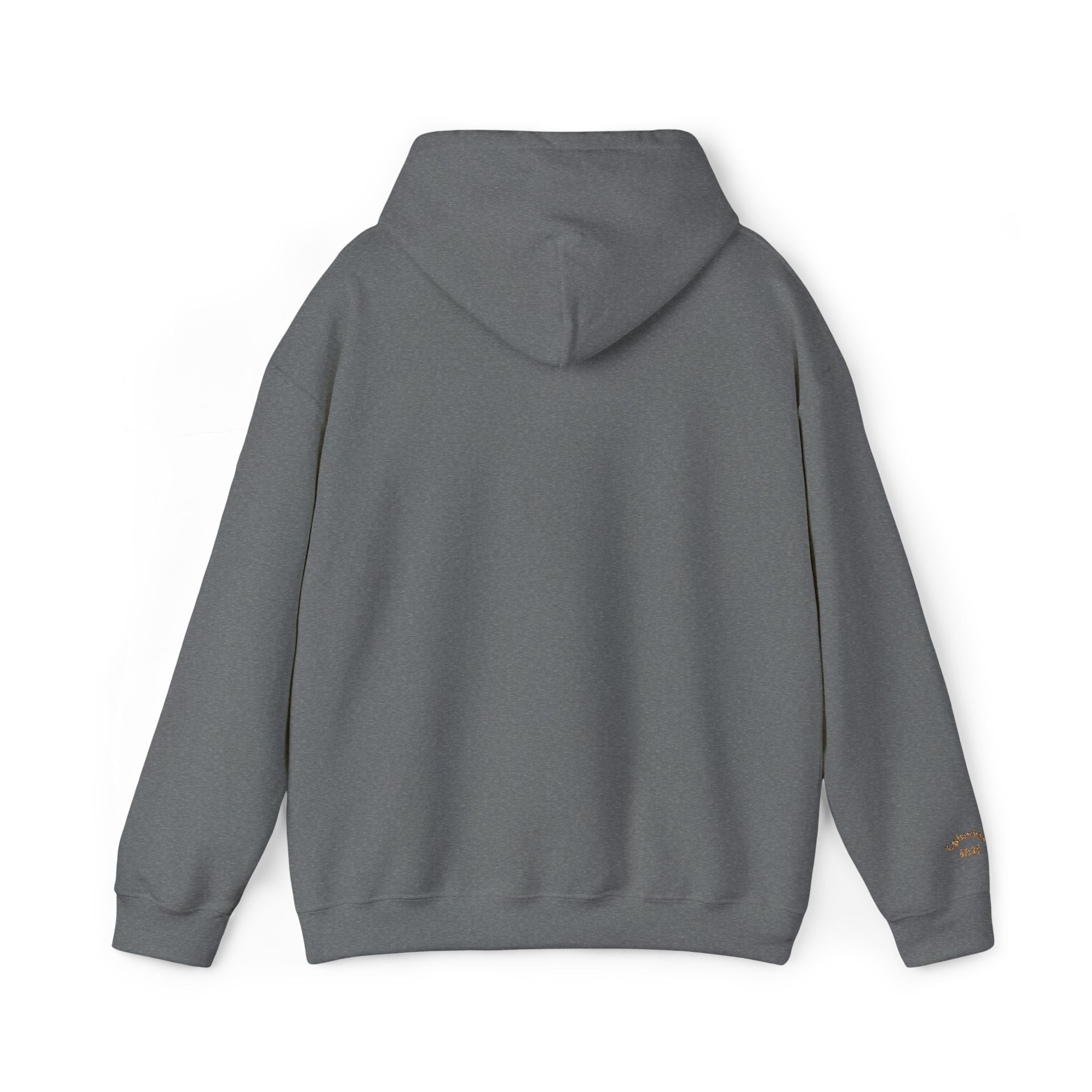 God's  Armor Hoodie - "Wear God as your Armor"
